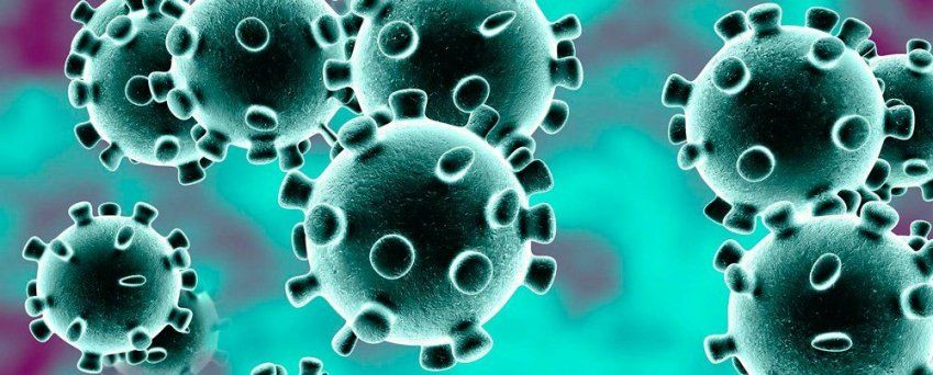 INFORMACIÓN INTERÉS SOBRE EL CORONAVIRUS INFORMACIÓN INTERÉS SOBRE EL CORONAVIRUS