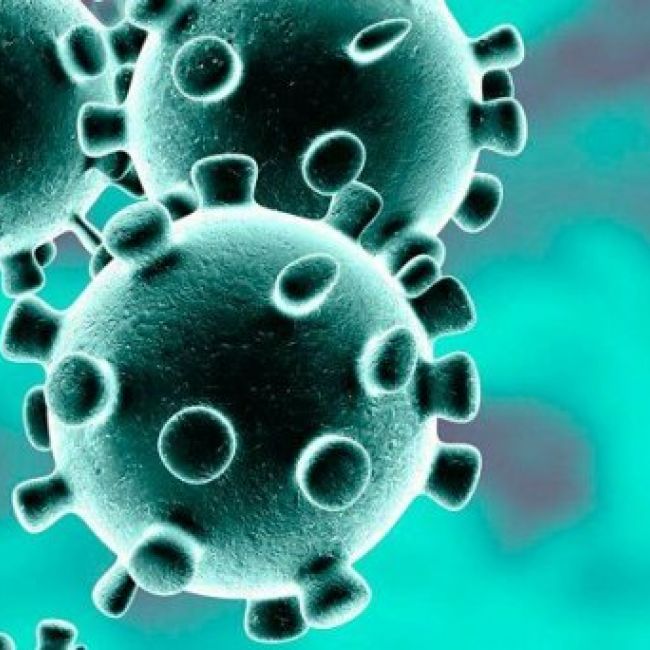 INFORMACIÓN INTERÉS SOBRE EL CORONAVIRUS